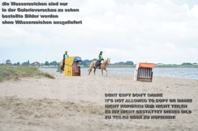 s_K3F04992.JPG